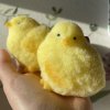 Squishy kuřátko