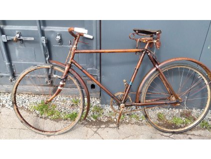 Obrázek WhatsApp, 2024 04 10 v 08.56.19 b72be339