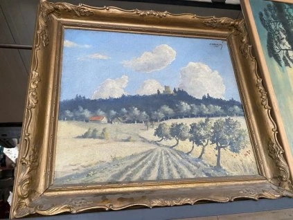 Obraz Obrázek Fr. Voborský