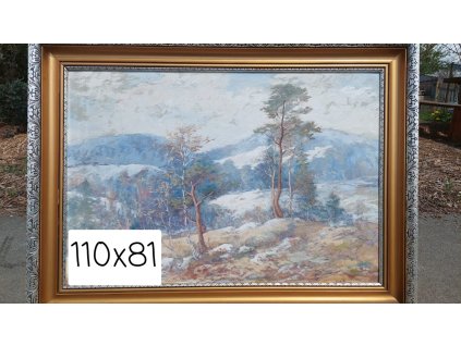 Obraz Obrázek Krajina