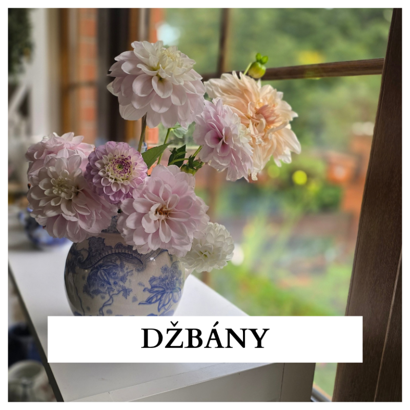 Džbány