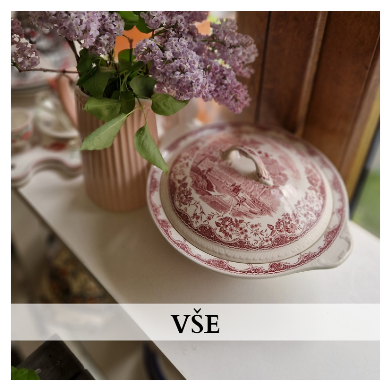 Vše