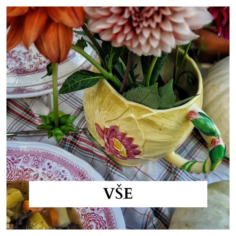 Vše