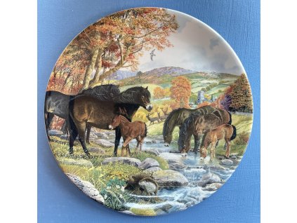 Dekorační talíř Exmoor Ponies