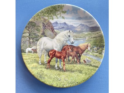 Dekorační talíř Welsh Mountain Ponies