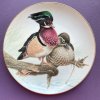 Dekorační talíř Kachny