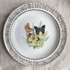Mělký talíř Motýli Wood & Sons
