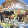 Dekorační talíř Exmoor Ponies