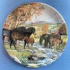 Dekorační talíř Exmoor Ponies