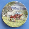 Dekorační talíř Welsh Mountain Ponies