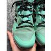 Adidas Terrex Skychaser GTX, velikost 41 1/3
