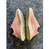 49 5 adidas deerupt runner velikost 36 2 3