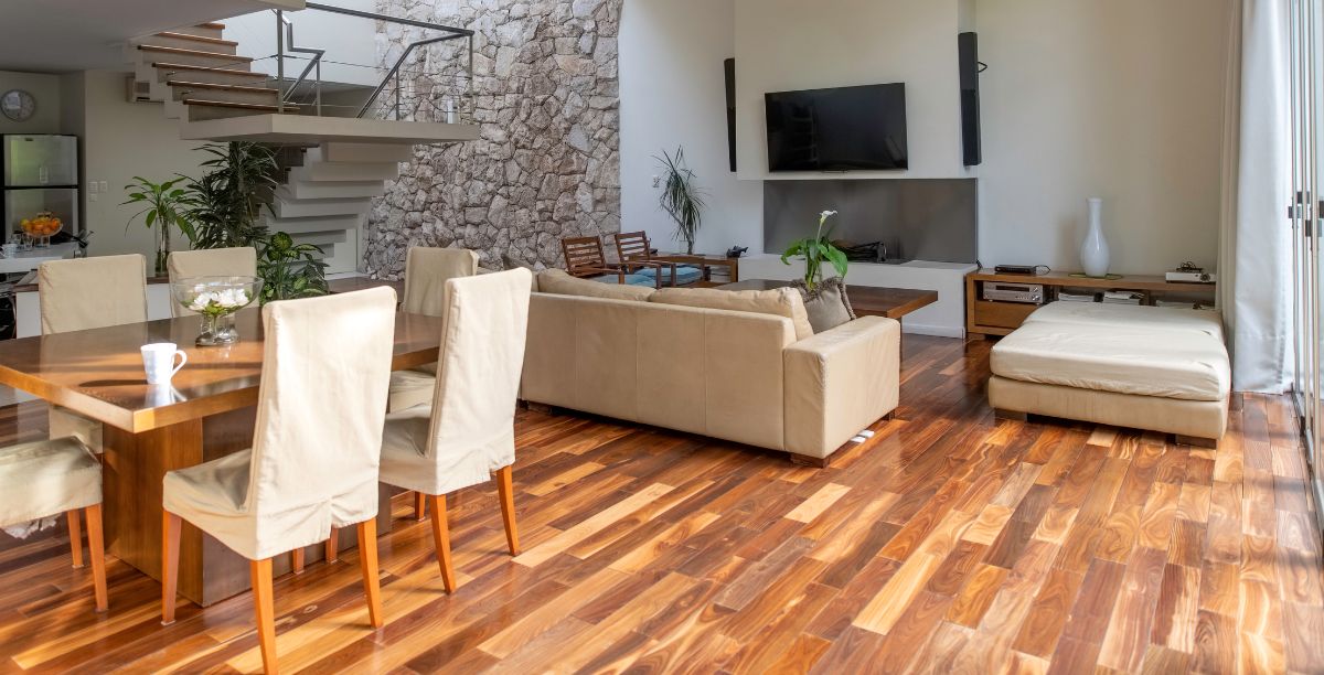 Hledáte polstrované dřevěné židle do kuchyně? Máme pro vás tipy na ty nejhezčí