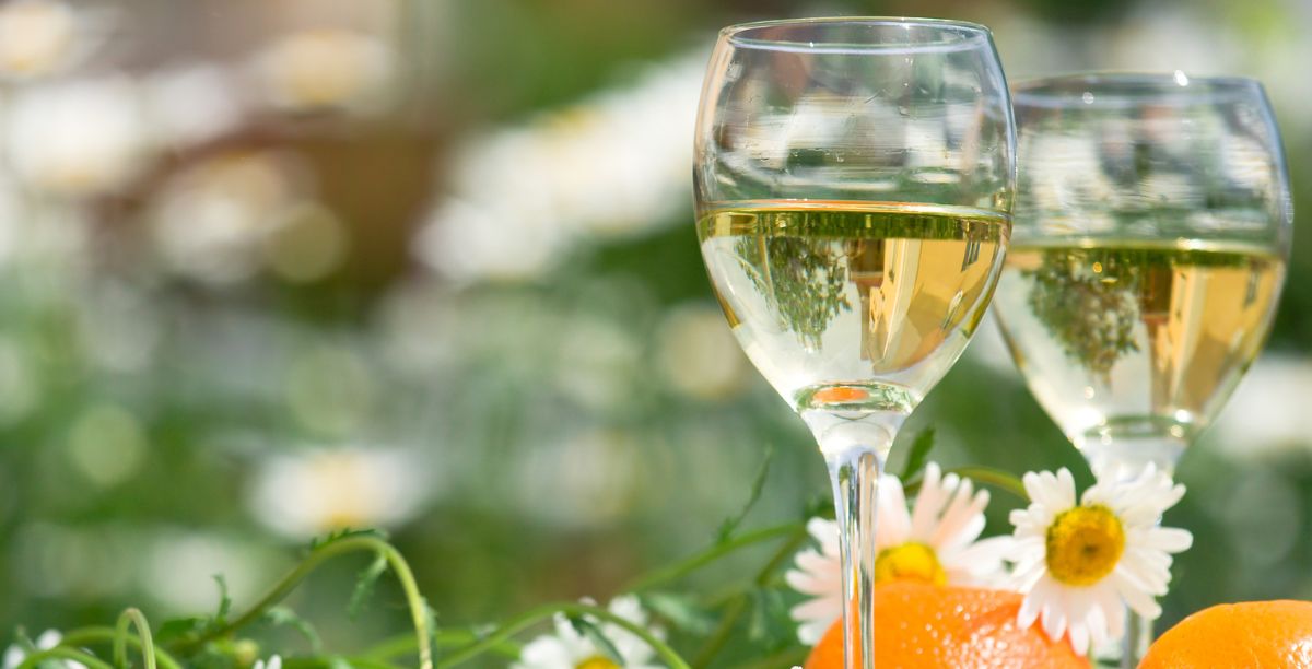 Originální a luxusní sklenice na víno levně a skladem u nás
