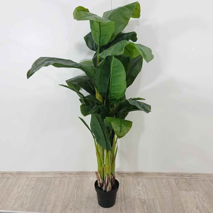 Dekorativní rostlina Banana Tree 180 cm Kare
