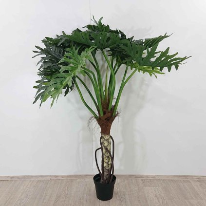 Dekorativní rostlina Philodendron Bipinnatifidum 175 cm Kare