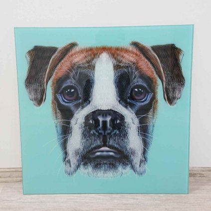 Obraz na skle Dog Face 60×60 cm Kare Design
