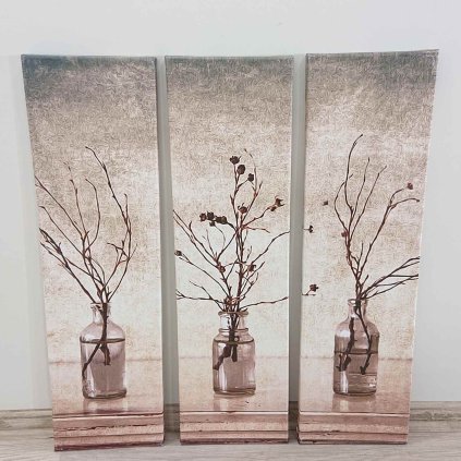 Obrazy sada 3 ks Vases Wallity