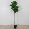 Umělá rostlina Strom listnatý 170 cm Kare
