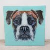 Obraz na skle Dog Face 60×60 cm Kare Design