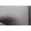 Obraz Eyes 50x70 Assorted Kare design 3
