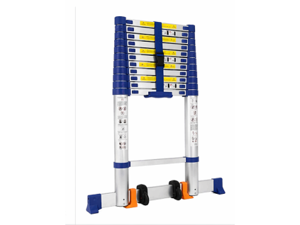zebrik top 2