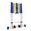 zebrik top 2