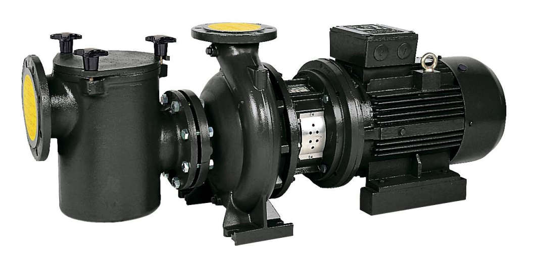 Bazénové čerpadlo IE3 Saci CF-4 552 (1.450 RPM) 230/400 V