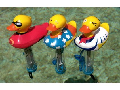Teplomer MR.DUCK