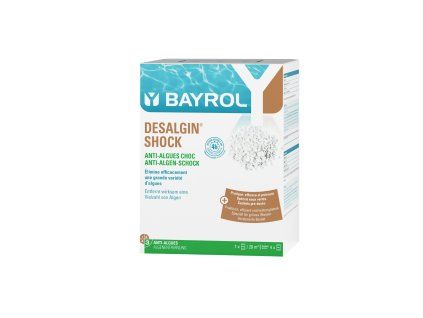 Product Visual Desalgin Shock 1kg6 BAYROL