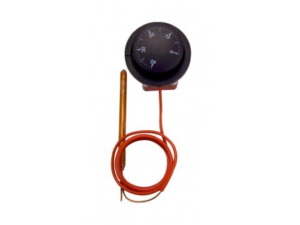 Thermostat incl. control button