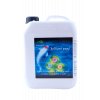Brilliant Pond - 5 L přípravek proti řasám