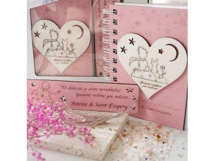 DAREK-PRO-PANI-UCITELKU