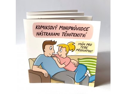 komiksovy pruvodce tehotenstvim bbb ilustrace