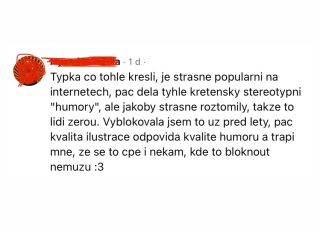 Já moc dobře vím, že moje ilustrace se nelíbí všem, zavděčit se každému prostě není možný 🤷‍♀️. I si uvědomuju, že některý...