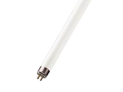 nbb 101503