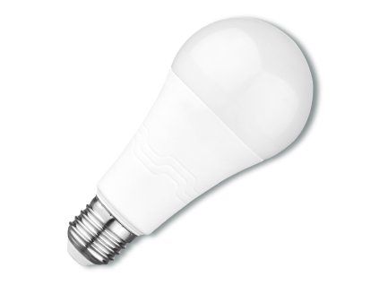 ecoplanet LED20W A65