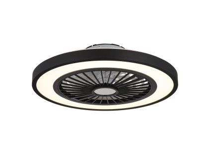 GLOBO 03653