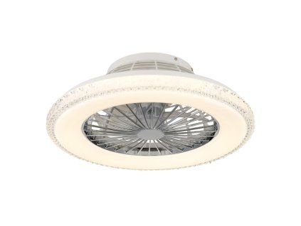 GLOBO 03654