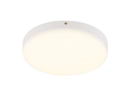 GLOBO 12387 18W