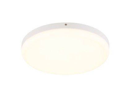 GLOBO 12387 24W