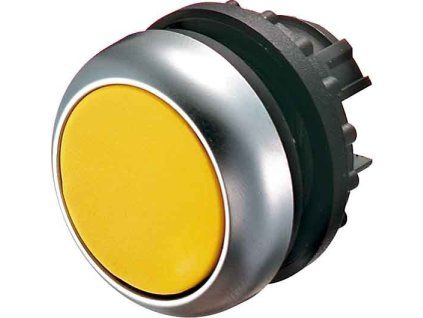 M22 DL Y