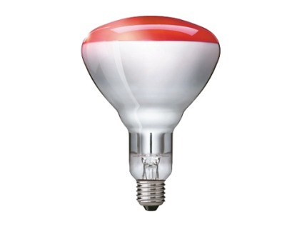 philips 923212043801