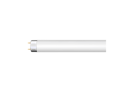 nbb 119001000
