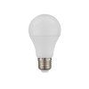 globo 10675K 1