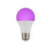 globo 10675K 3