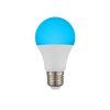 globo 10675K 6