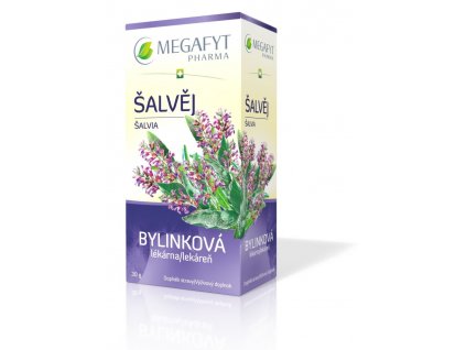 61620 megafyt bylinkova lekarna salvej 20x1 5g