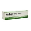 58239 halicar mast 25g