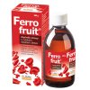 63663 ferrofruit 300g dr muller